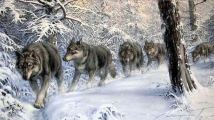 Ученые сделали интересное открытие о древних волках