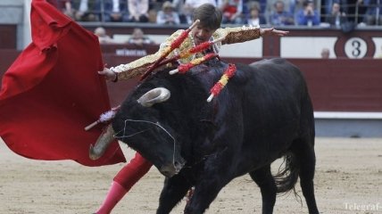 В Испании запретили убивать быка на фестивале "Торо де ла Вега"