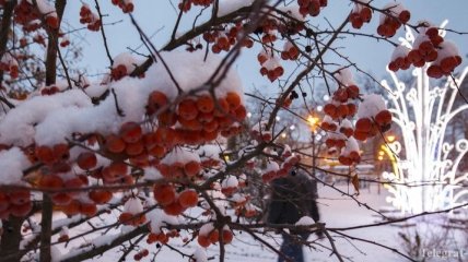 В Украину идет похолодание: синоптики рассказали о погоде 17 декабря