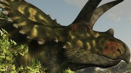 Открыли новый вид рогатых динозавров