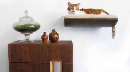 Идеи для дома: мебель для животных (ФОТО)