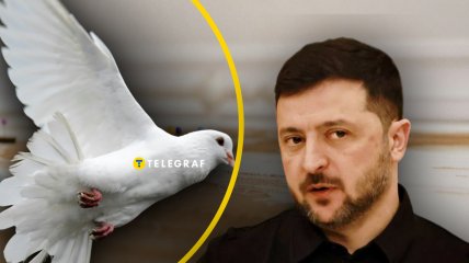 Владимир Путин и Владимир Зеленский