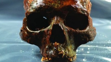 Археологи под водой обнаружили могилу со странными человеческими черепами