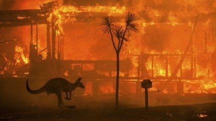 В Австралії дощі допомагають гасити пожежі