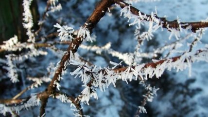 В Болгарии сильный мороз забрал жизни 6 человек