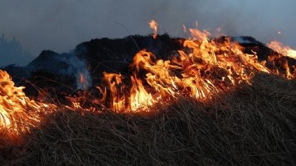 "Поджигатели вышли из спячки": масштабное выгорание сухой травы в Украине сняли на фото и видео