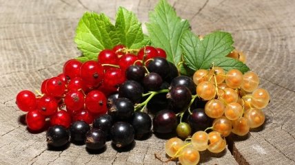 Деякі рослини-конкуренти можуть погубити майбутній врожай