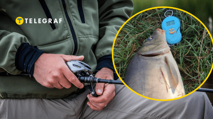 Колаж "Телеграфу"