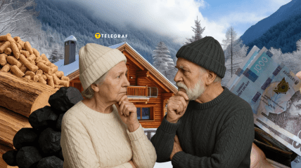 Дрова, вугілля чи паливні пелети – розповідаємо, чим вигідніше топити будинок у 2025 році