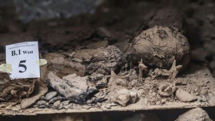 Ученые нашли в Египте 8 миллионов необычных мумий