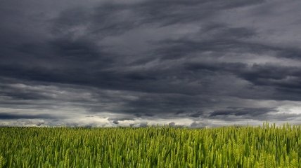 В Украине дожди будут идти и в начале июля