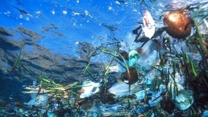 Из Мирового океана бесследно исчез пластиковый мусор