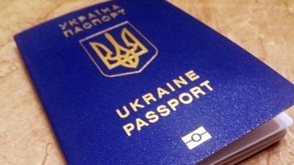 В ГМС заявили, что Вышинский не может выйти из украинского гражданства