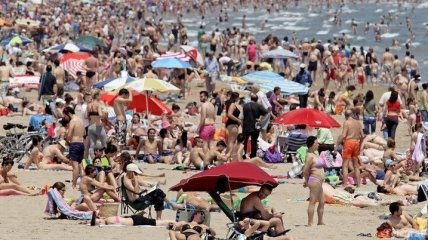  В Крыму появился первый пляж категории "5 ракушек"
