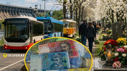 Бесплатный проезд