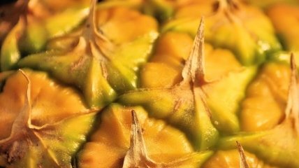 Почему ананас так полезен для организма?