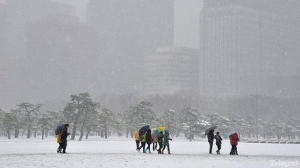 Японию засыпают сильнейшие снегопады 