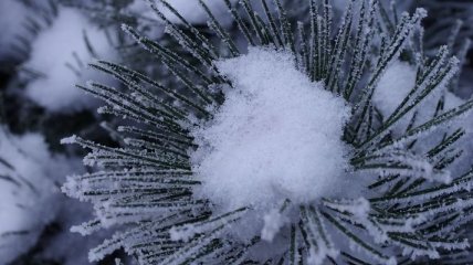 Прогноз погоды в Украине на сегодня: дожди с мокрым снегом