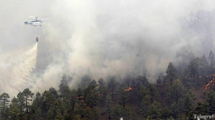 В Херсонской области горит уже 700 га леса