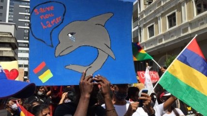 Кораблекрушение близ Маврикия: тысячи людей вышли на протест из-за гибели десятков дельфинов