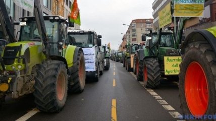 Фермеры и защитники животных протестовали в Берлине