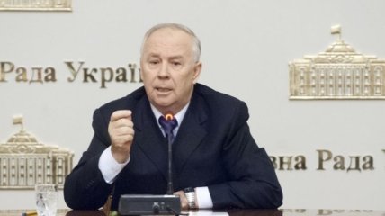 Владимир Рыбак подписал и оформил все законы, принятые 16 января   