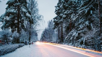 Погода в Украине на 19 января: снегопад, сильный ветер