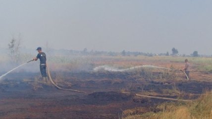 На Киевщине увеличилась площадь торфяных пожаров