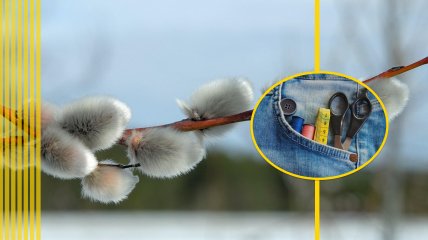 Гілка верби