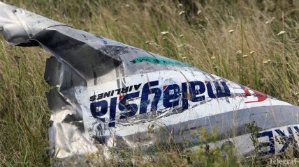 ПА НАТО напомнила России о трагедии MH17 
