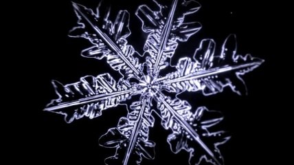 Потрясающая замедленная съемка снежинки на микроскопическом уровне (Видео)