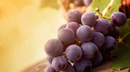 Виноград поможет победить рак?