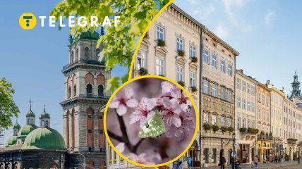 Погода во Львове