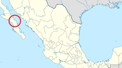 В Мексике обнаружены обломки пропавшего самолета 
