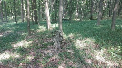 Один из "чумных" крестов, найденный в лесу возле Сатанова, август 2023