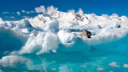 Любопытные факты о ледниковых периодах Земли