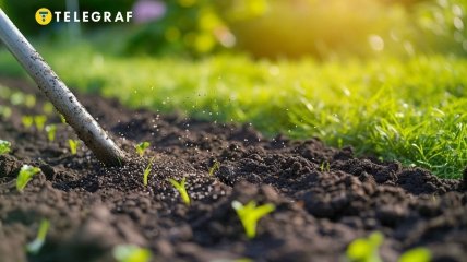 Газон потребує правильного догляду (зображення створено за допомогою ШІ)