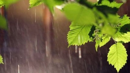 Погода в Украине 6 июня: ожидаются дожди с грозой