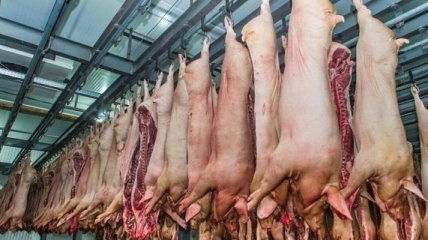 Украина увеличила объемы экспорта мяса на 50%
