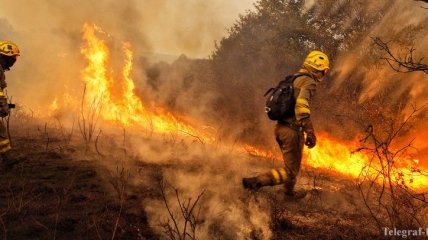 Из-за лесных пожаров в Португалии и Испании погибли девять человек  
