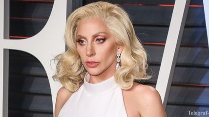 Lady Gaga поразила публику откровенным нарядом