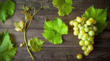 Виноград люблять і дорослі, і діти