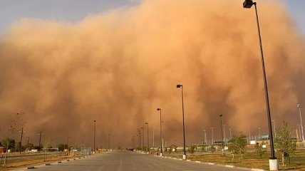 Из Сахары на США надвигается крупнейшая за 50 лет песчаная буря