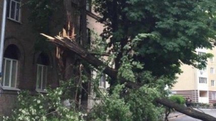 В результате грозы и ветра без света в Украине остались 129 населенных пунктов