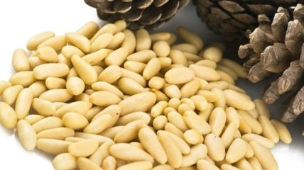 Полезные свойства кедровых орешков 