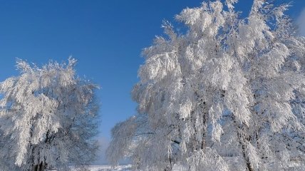 Прогноз погоды в Украине на сегодня: дождь и снег на западе