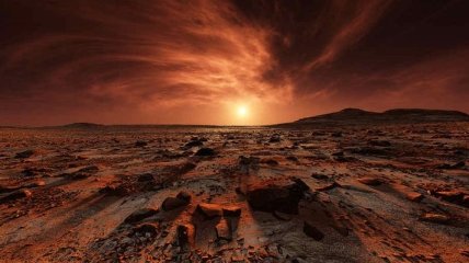 Сотрудники NASA обнаружили на Марсе загадочных улиток