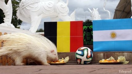 Аргентина - Бельгия: онлайн-трансляция матча