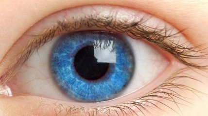 Ученые обнаружили бактерии, которые защищают глаза от инфекций