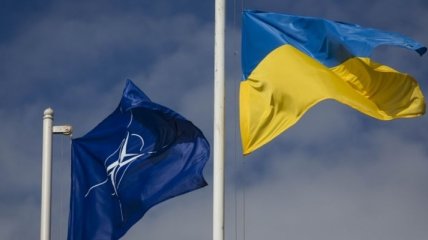 В НАТО прокомментировали намерение Киева внести изменения в Конституцию Украины